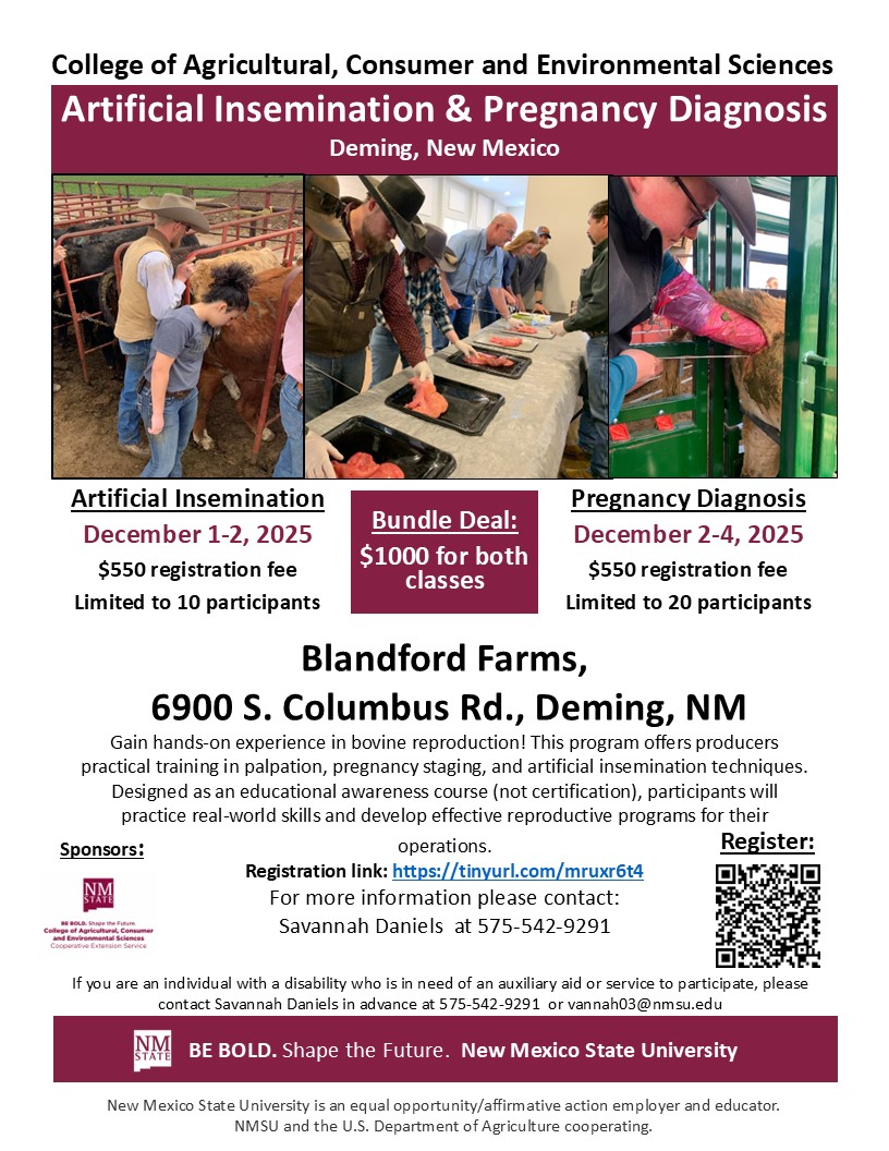 Flyer for SW AI & Pregnancy Diagnosis Clinic